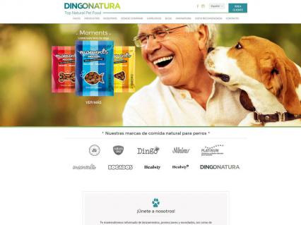 Diseño web y seo para Dingonatura