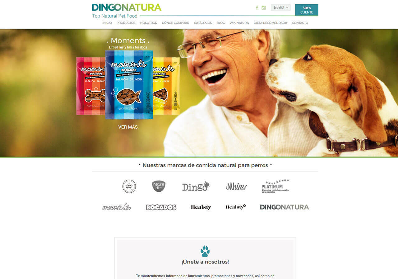 Diseño web y seo para Dingonatura