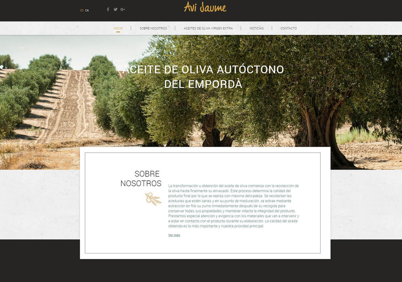 Diseño web para aceites de oliva virgen extra Avi Jaume