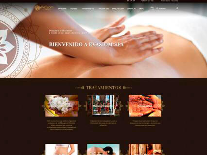 Diseño web para e-commerce y SEO para Evasiom Spa