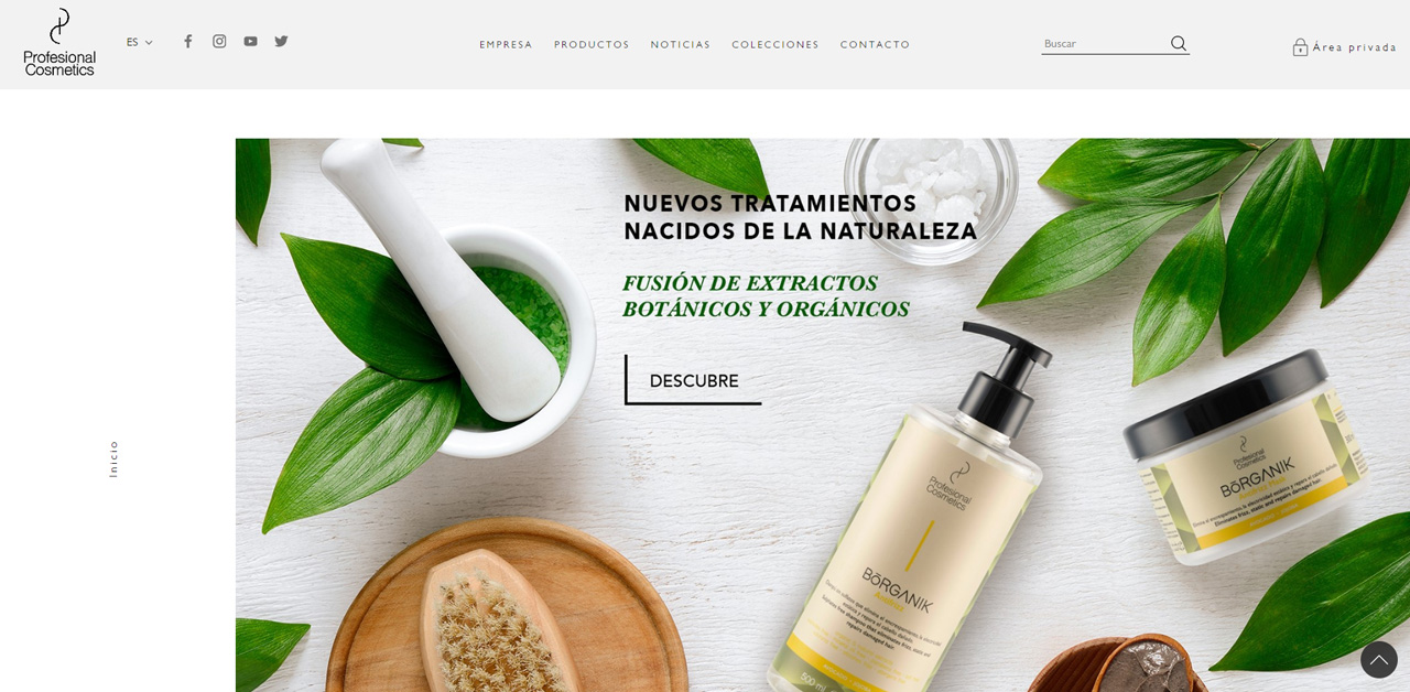 Profesional-Cosmetics web